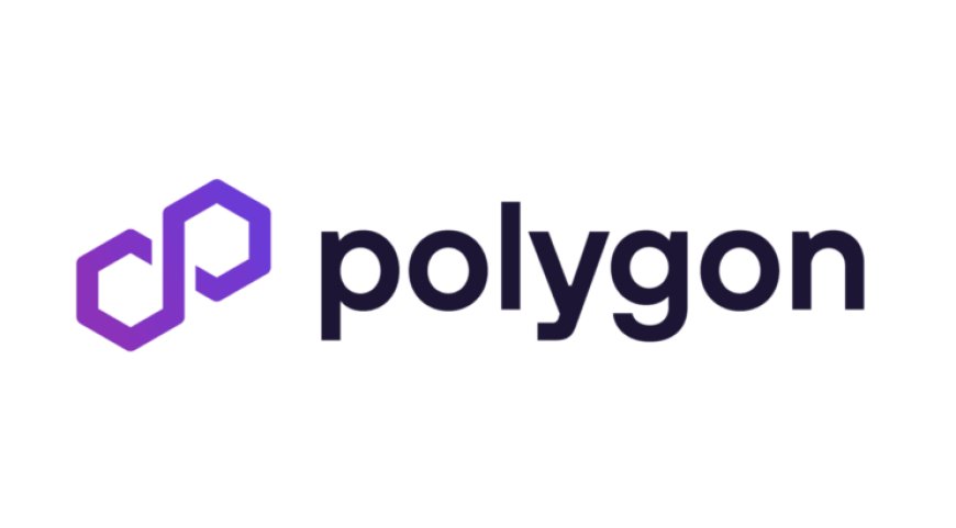 What is Polygon network: Everything you need to know