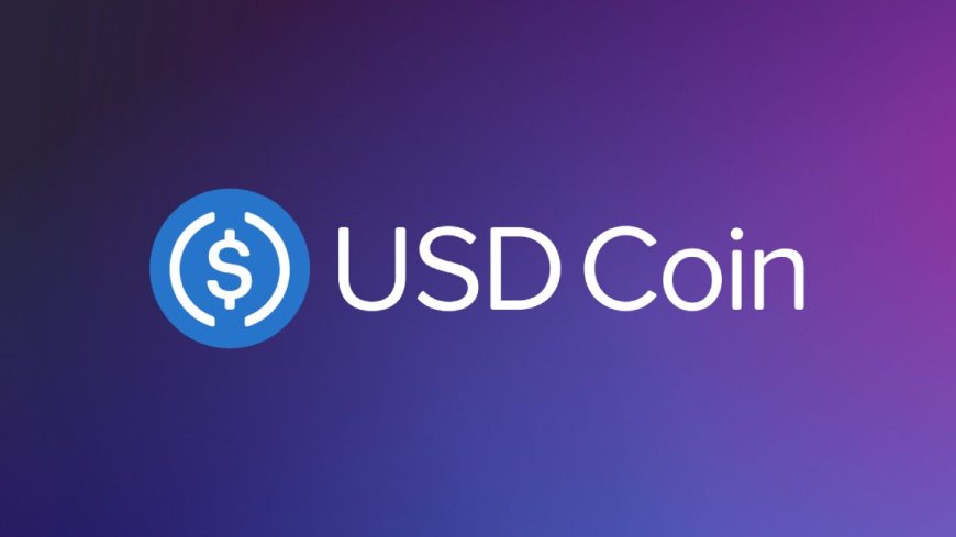 USDC is Launching on Multiple Blockchains Including Polygon PoS, Base, and Polkadot