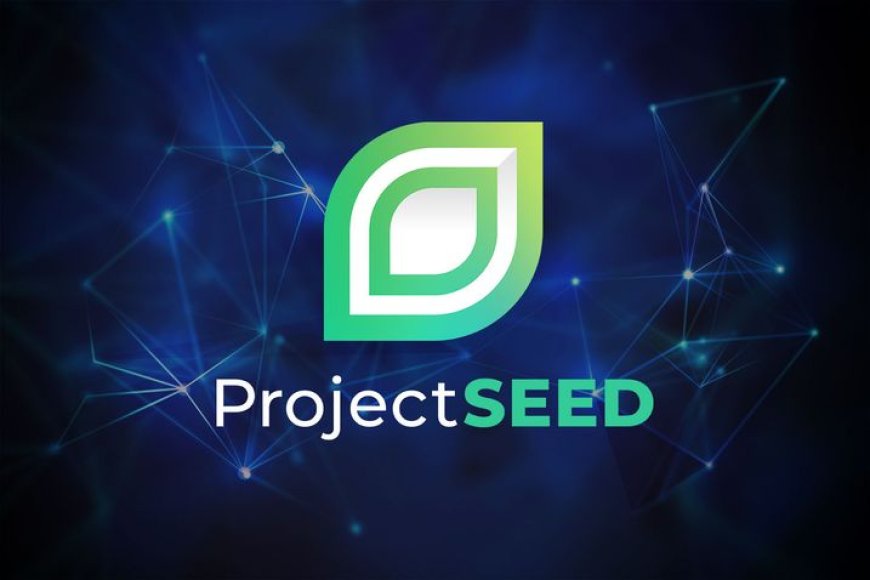 Elevate blockchain gaming with Project Seed 2.0: Outland Odyssey, staking & more!
