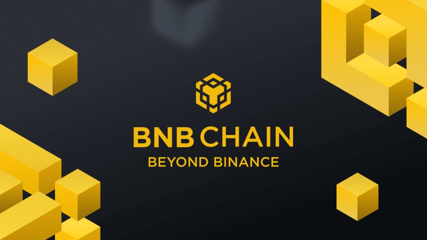 What exactly is BNB chain? Here's everything you need to know