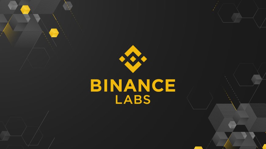 Binance Labs Invests in Memecoin